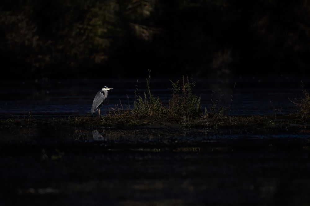 Photograph by RAWEZH AHMED