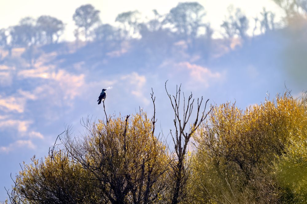 Photograph by RAWEZH AHMED