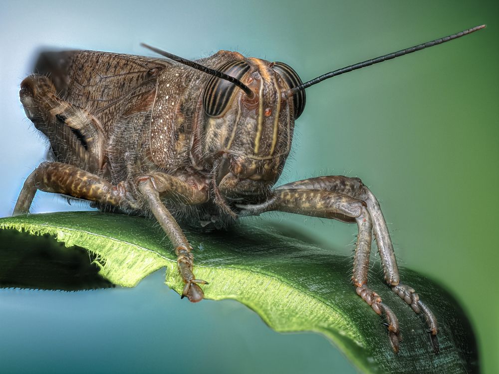 Photograph by Олег Савицкий