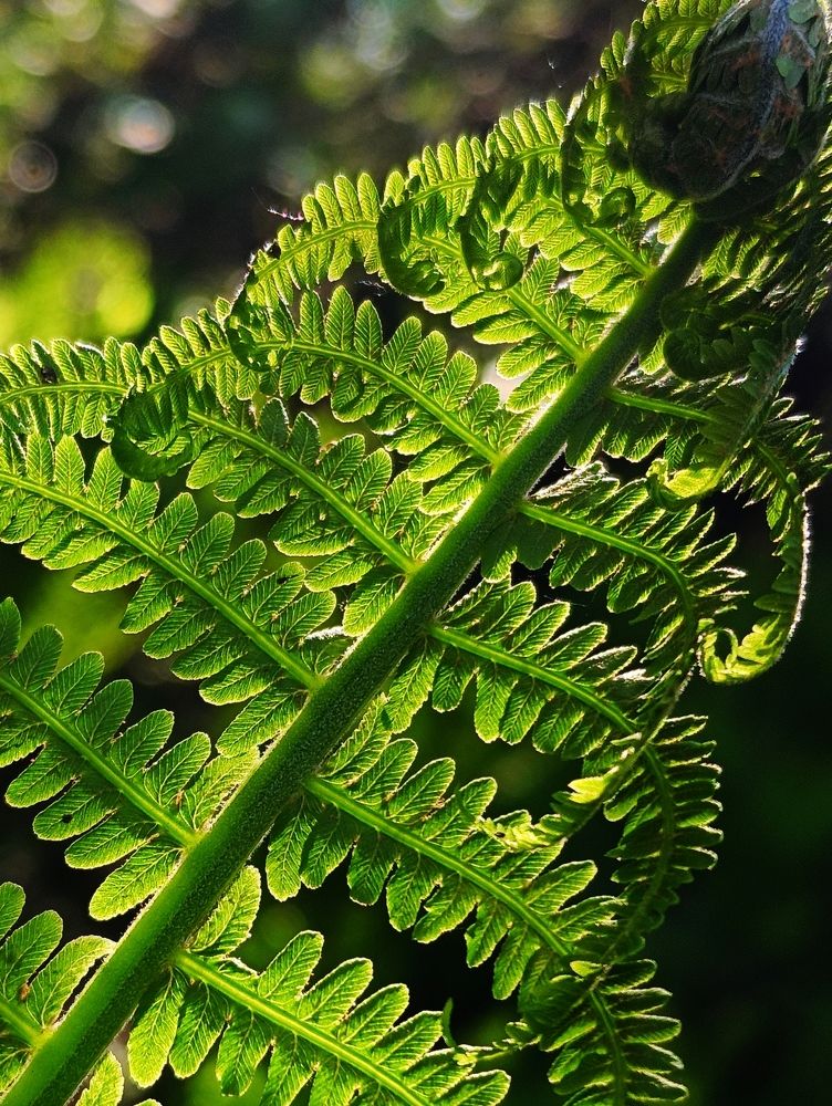 Photograph by Любовь Старовойтова