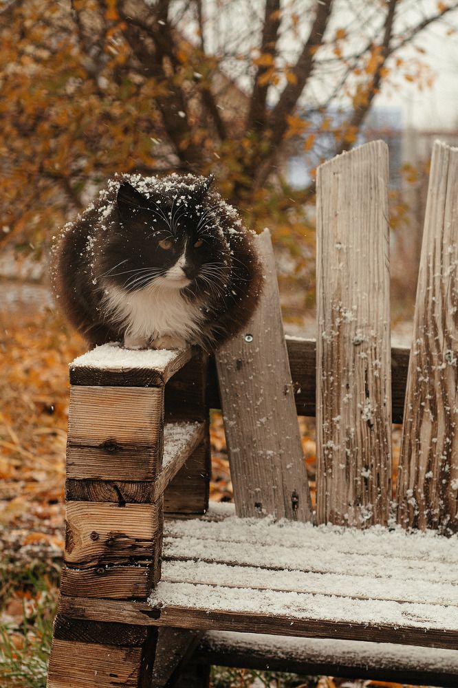 Photograph by Катерина Кузнецова