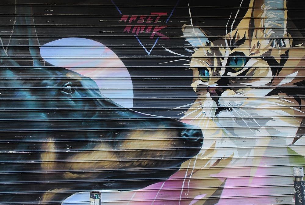 Photograph by Myrsini Charalampidou