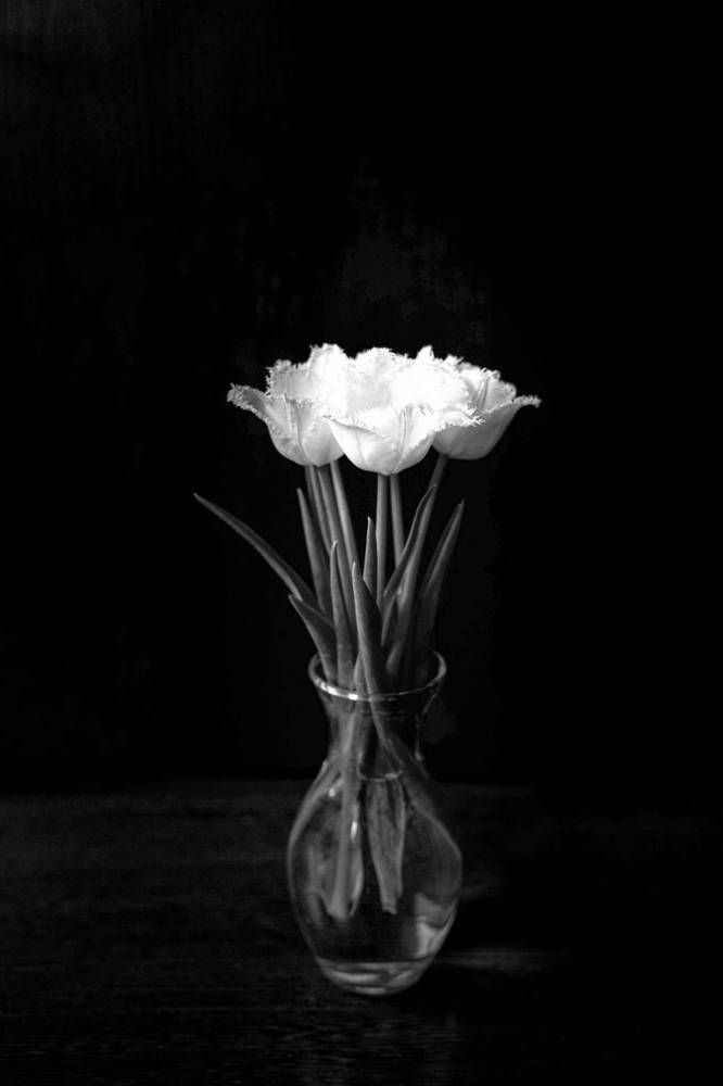 Photograph by Марина Суздаль