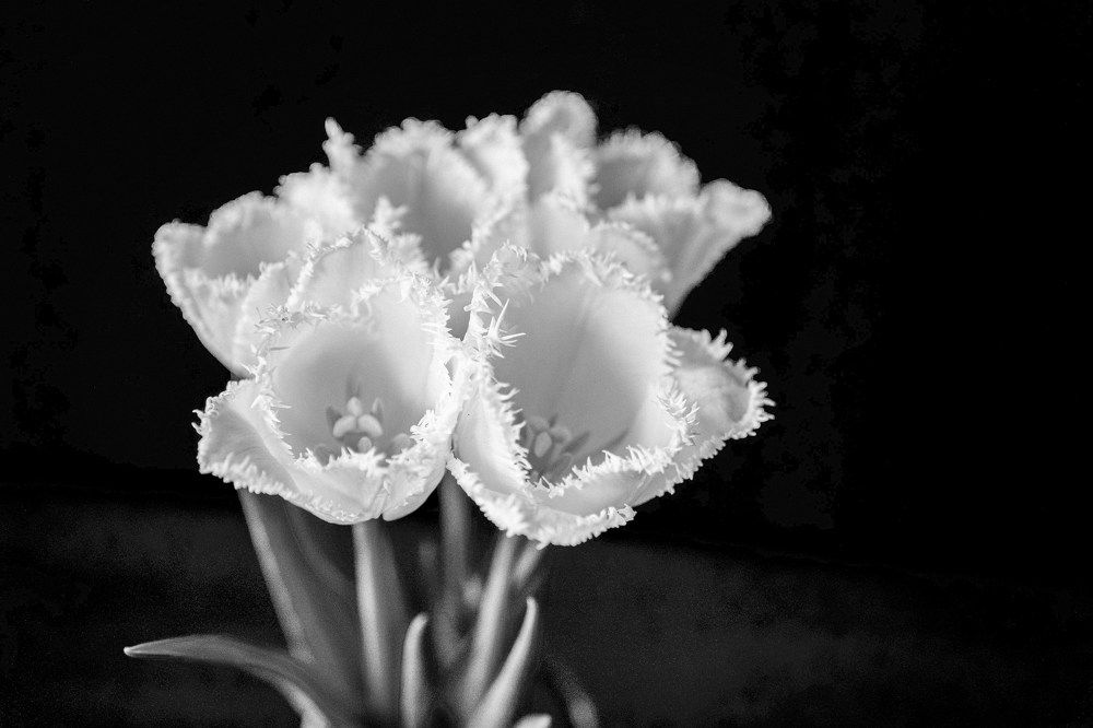 Photograph by Марина Суздаль