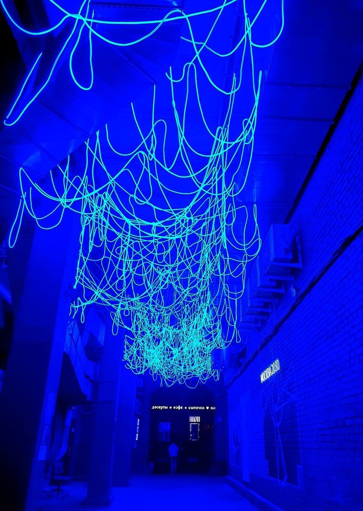 Photograph by Яна Галимуллина