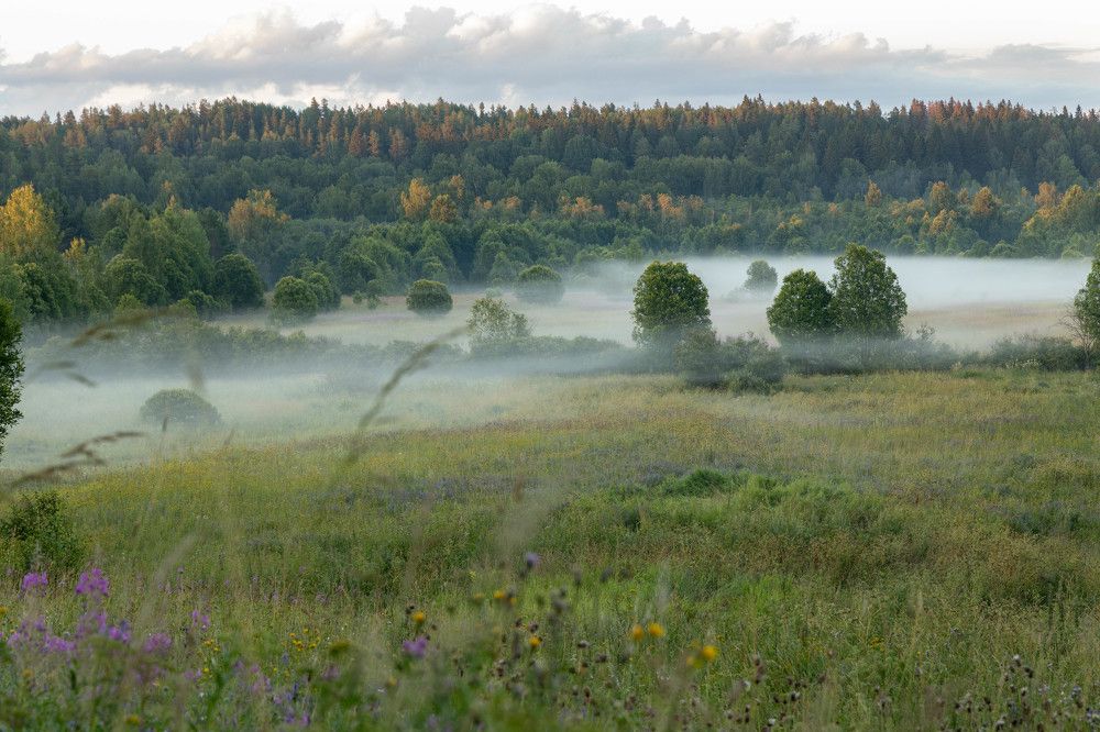 Фотография автора Van Gross
