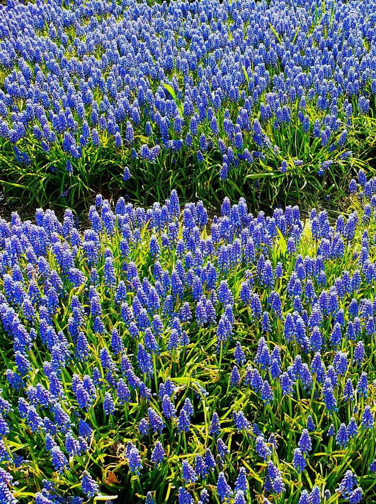 Photograph by Яна Галимуллина