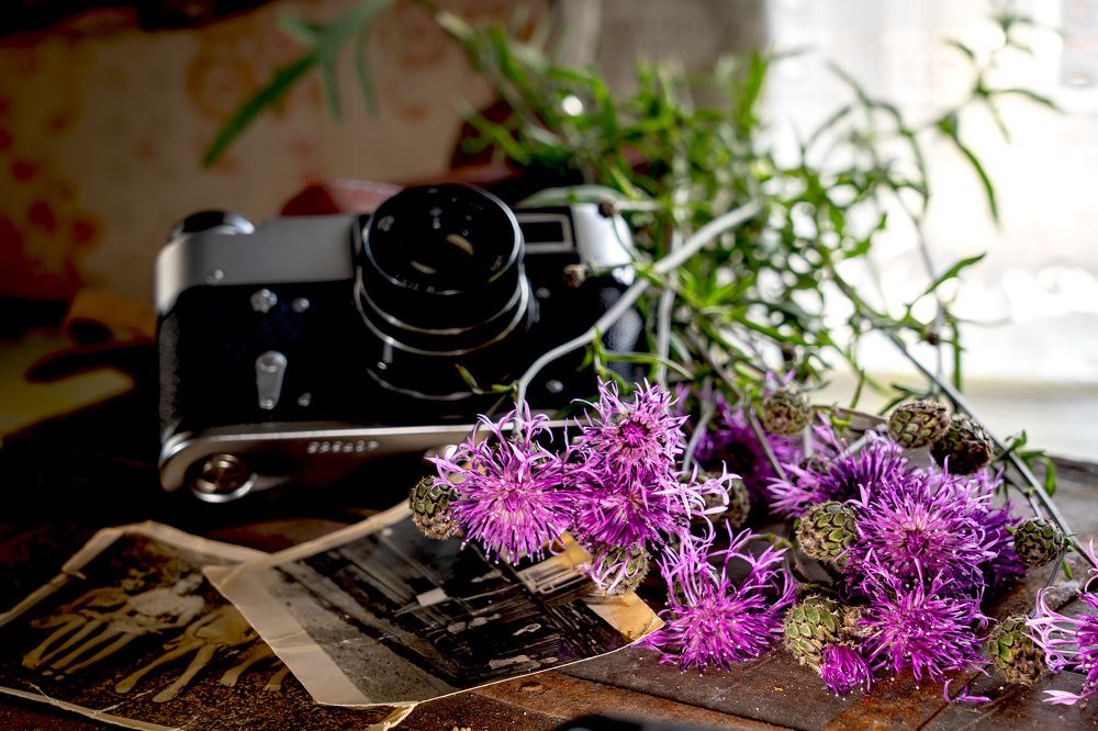 Photograph by Светлана Волкова