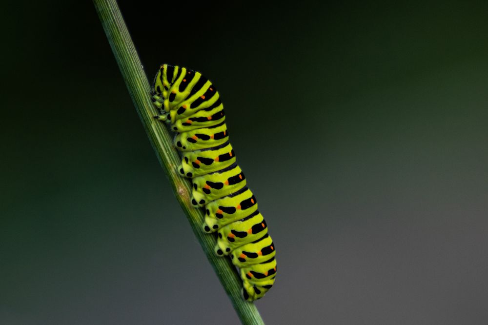 Photograph by Сергей Епифанов
