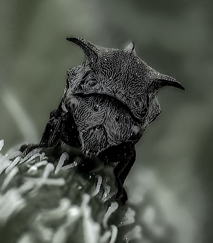 Photograph by Наталья Балабанова