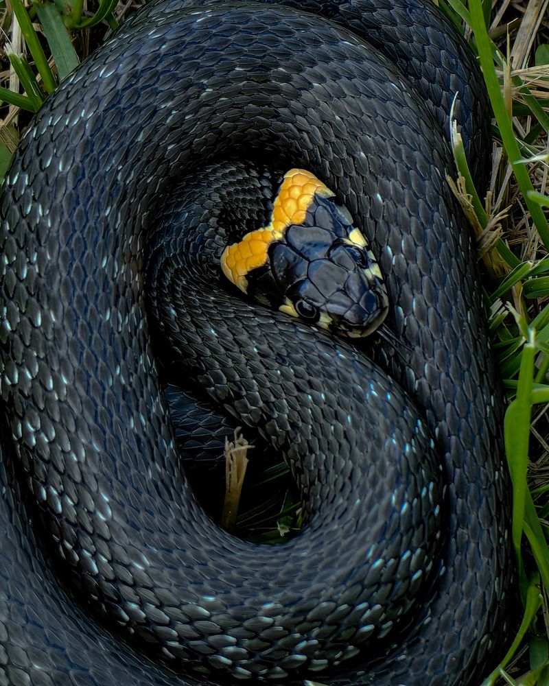 Photograph by Наталья Балабанова