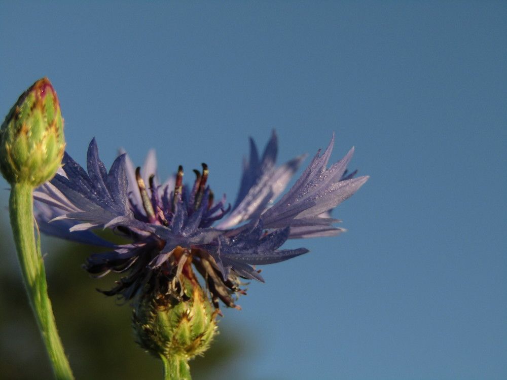 Photograph by Olga Kot