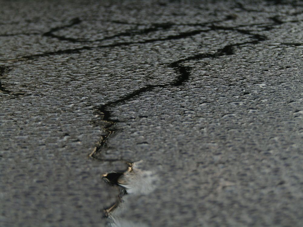 Photograph by Olga Kot