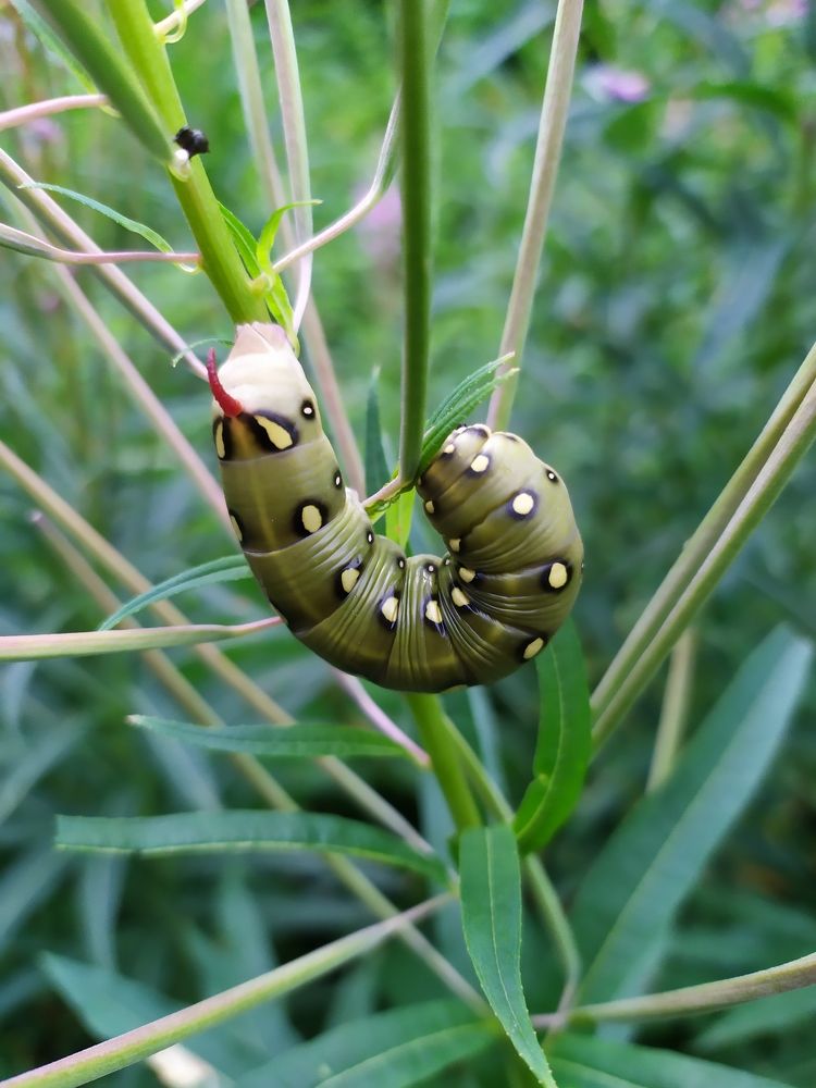 Photograph by Olga Kot