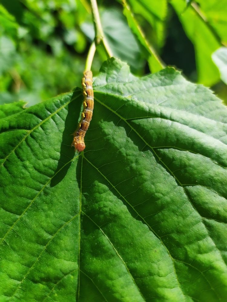 Photograph by Olga Kot