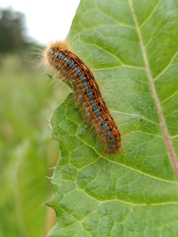 Photograph by Olga Kot