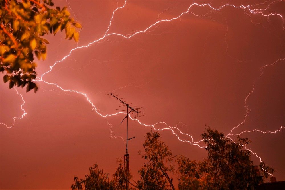 Фотография автора Ася Бабушкина
