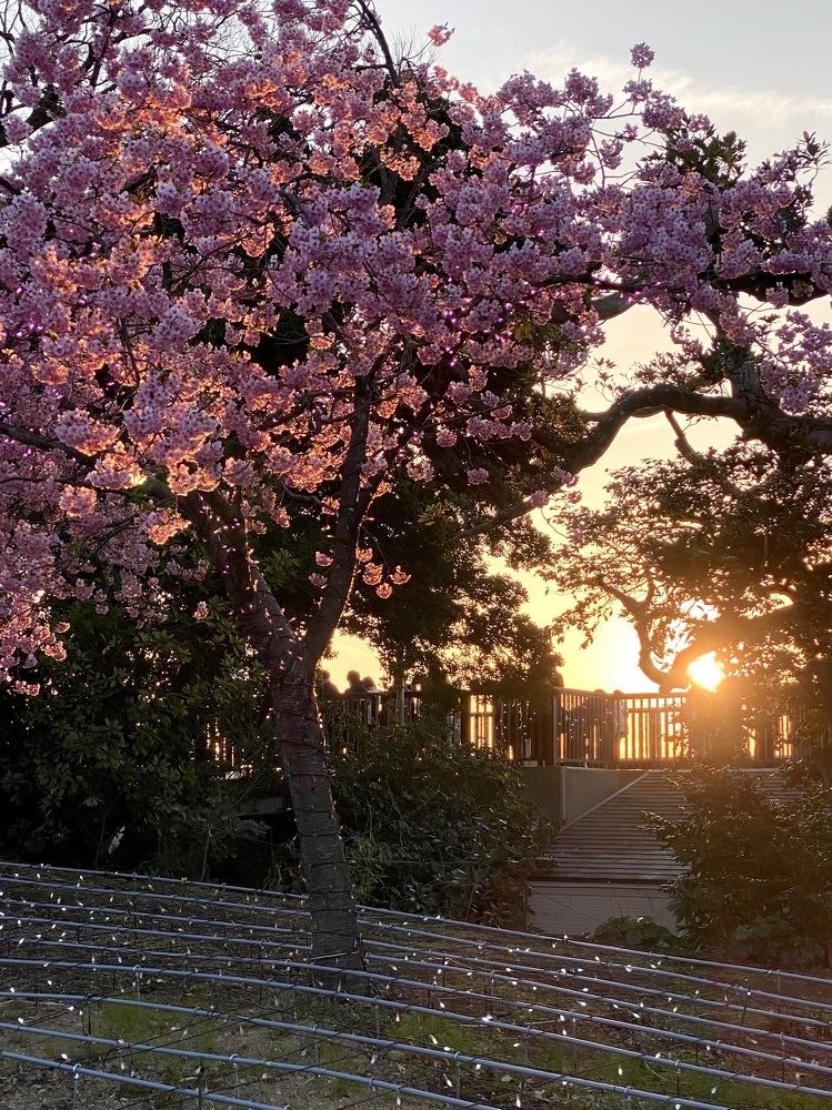 Фотография автора Бакалова Ирина