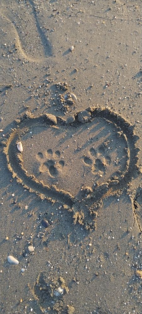 Photo #11320922