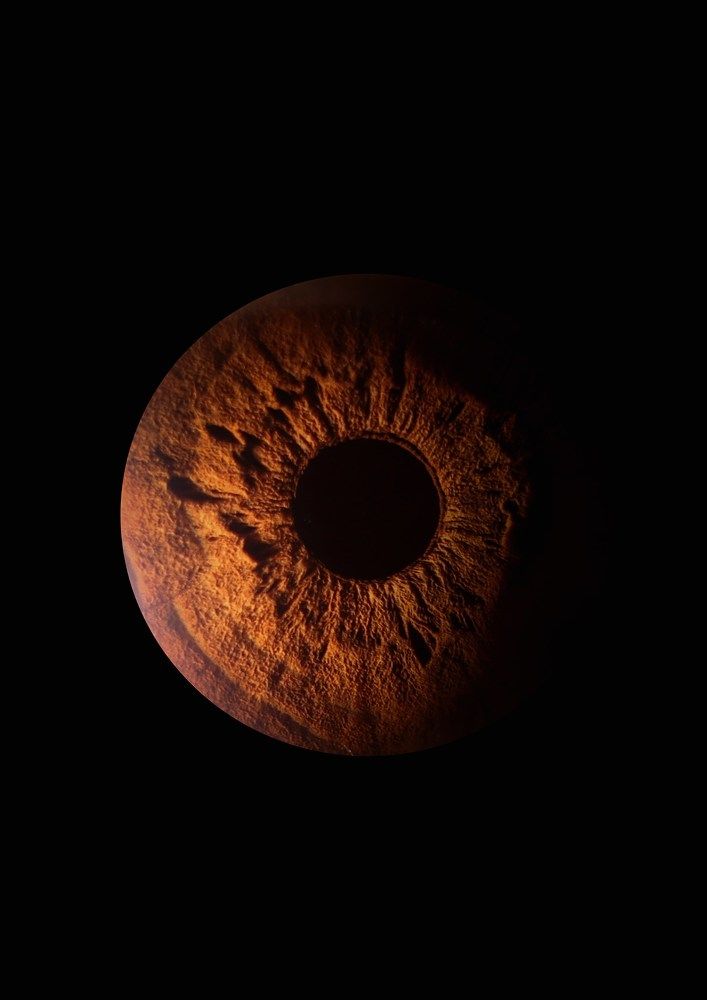 Photograph by Ксения Бабаева