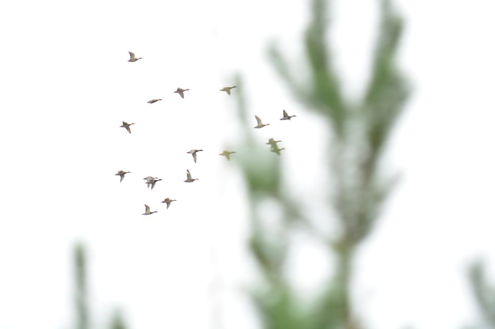 Photograph by Ольга