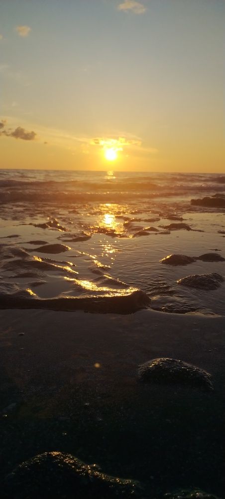Photo #11320985
