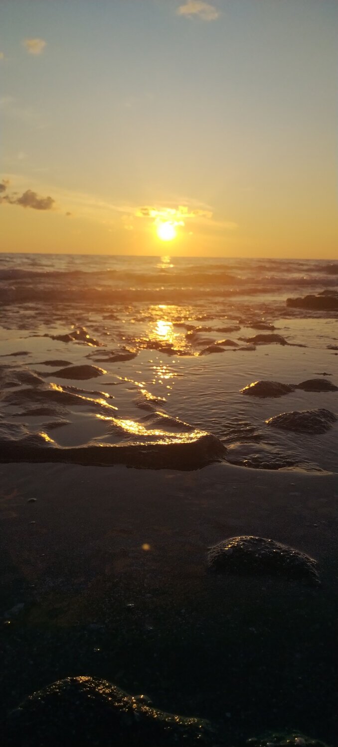 Photo #11320985