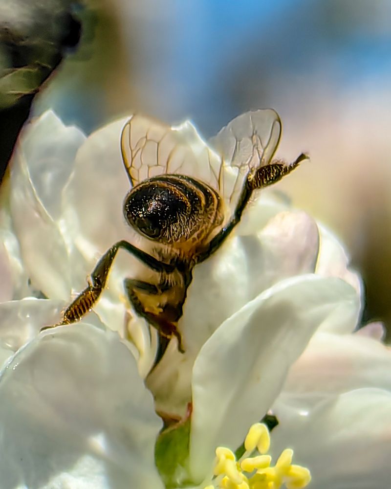 Photograph by Наталья Балабанова