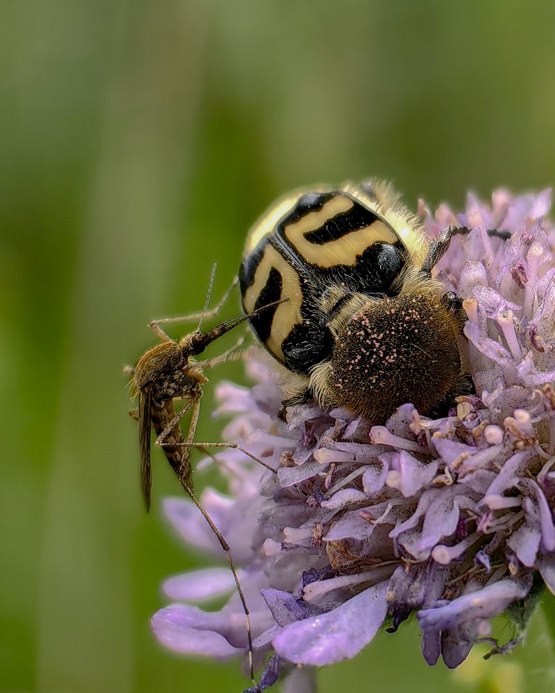 Photograph by Наталья Балабанова