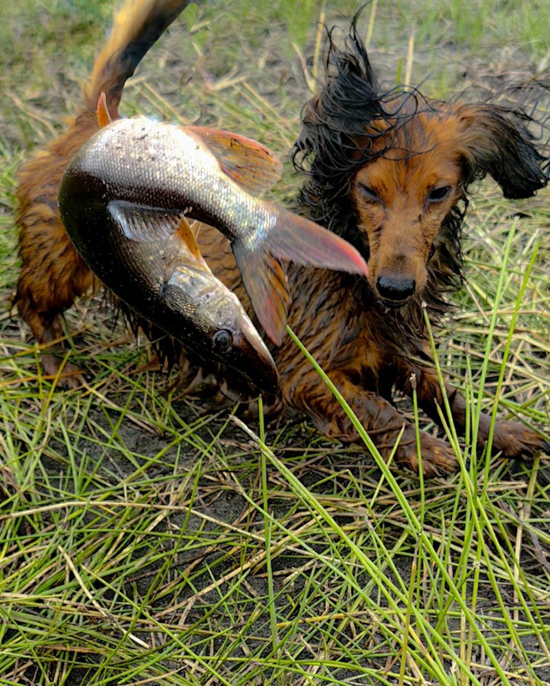 Photograph by Наталья Балабанова