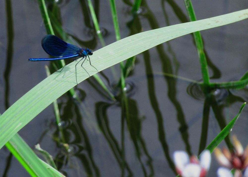 Photograph by Olga Kot