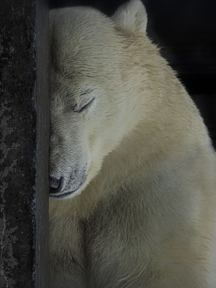 Photograph by Галина Суровицкая