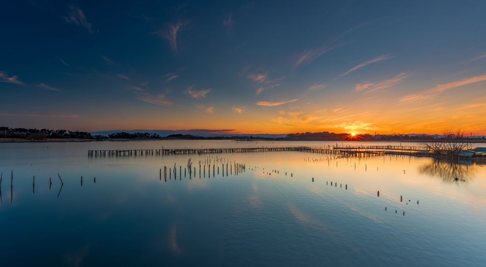 Photograph by Tsunoda