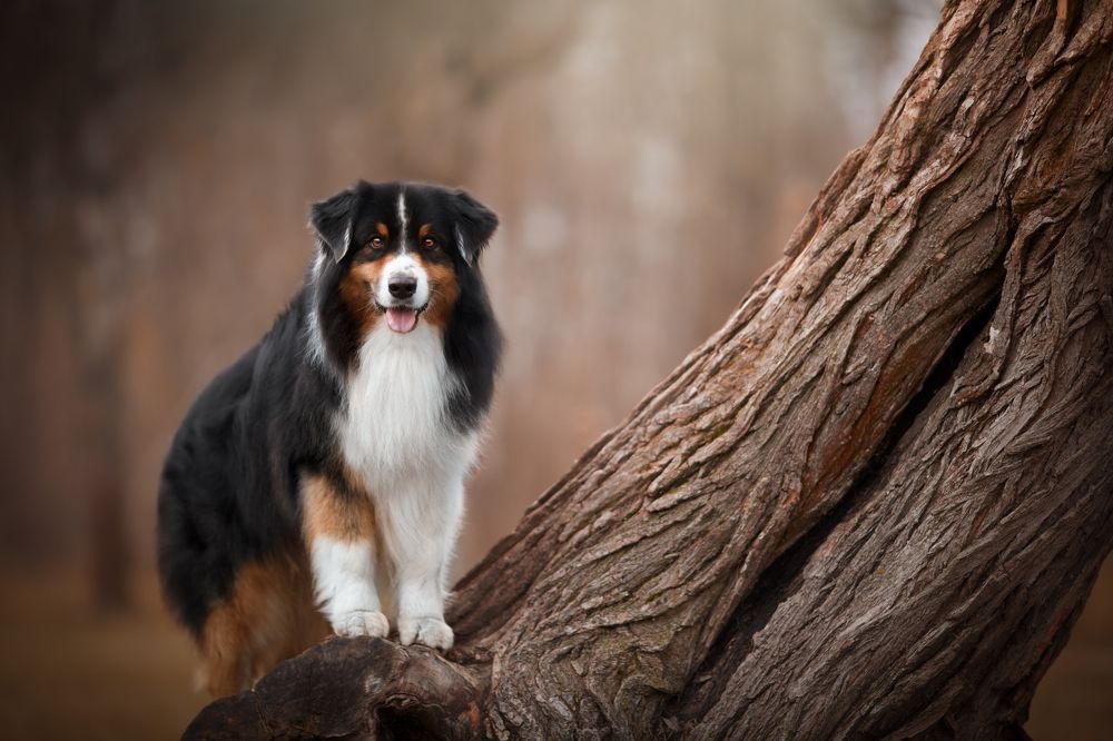 Photograph by Евгения Костусева