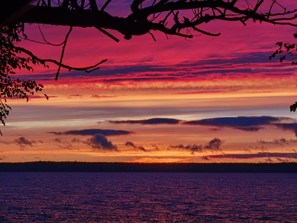 Photograph by Серафима Силина