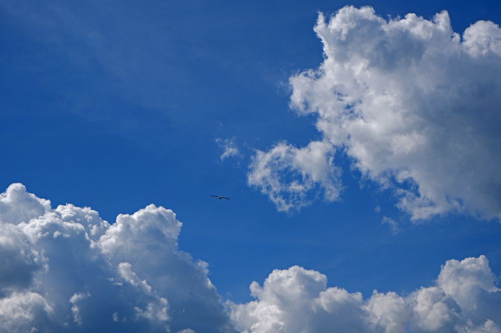 Фотография автора Наталья Липовская