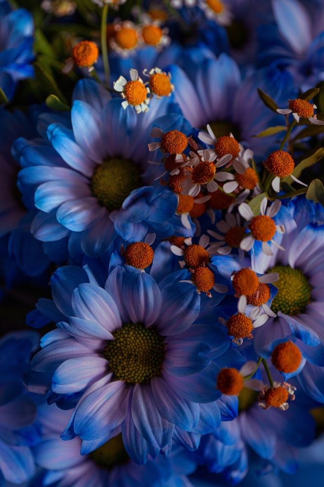 Photograph by Герман Крупенин