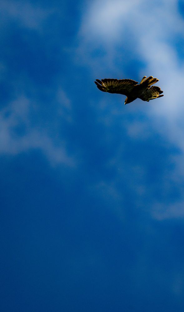 Photograph by Герман Крупенин