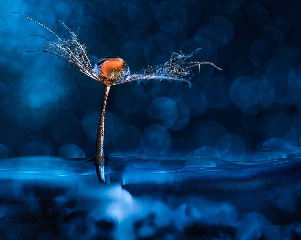 Photograph by Галина Суровицкая