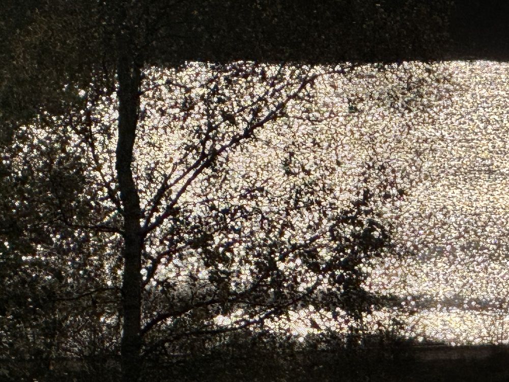 Photograph by Ольга Шабалина