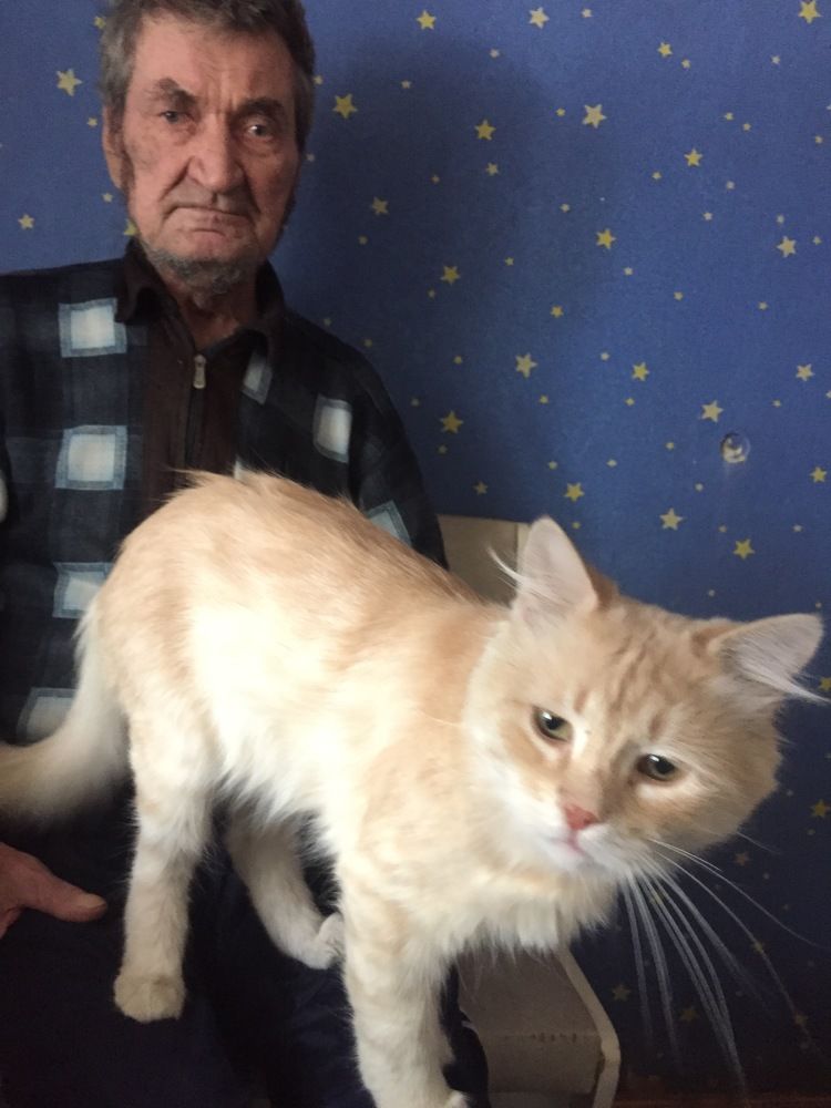 Photograph by Светлана Петрова