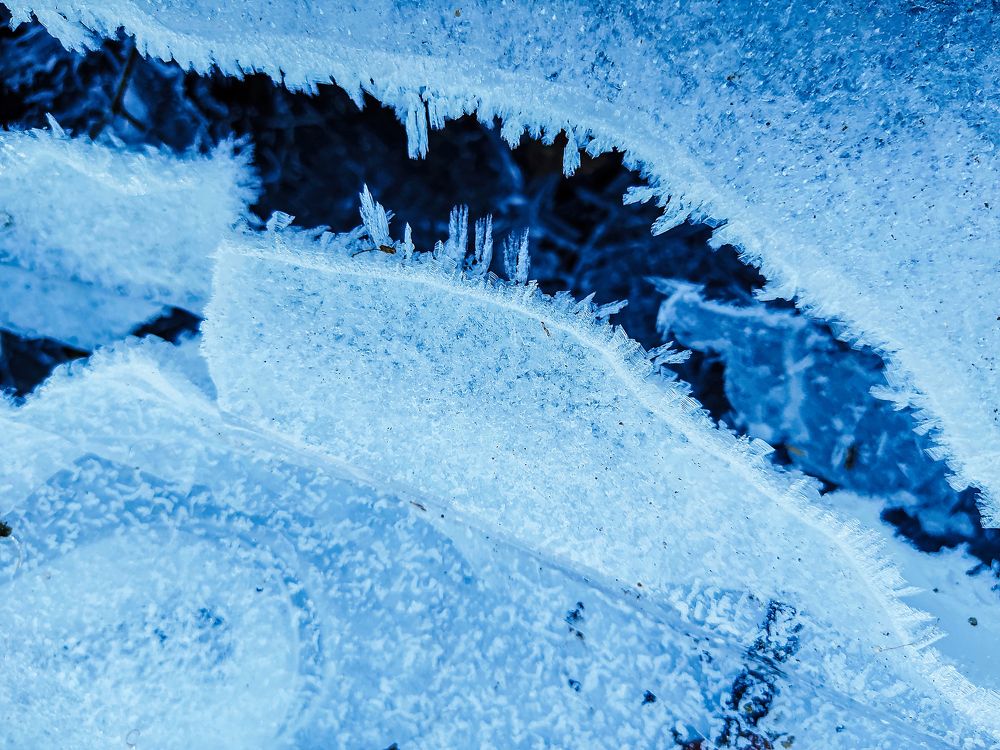 Фотография автора Тамара Нижельская