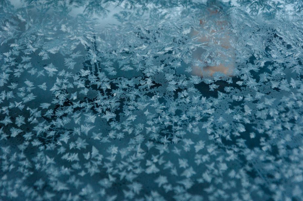 Photograph by Dragan Leles