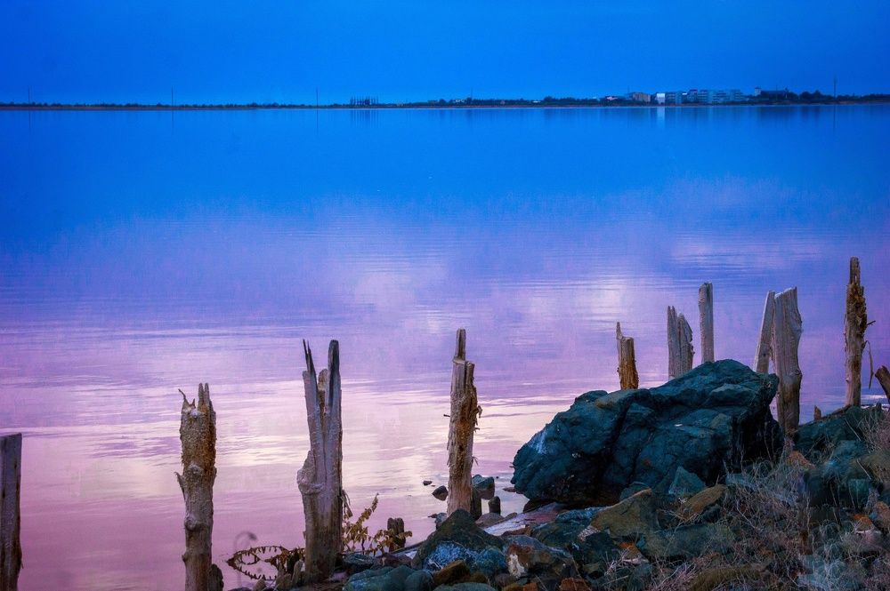 Photograph by Marina Mossiy