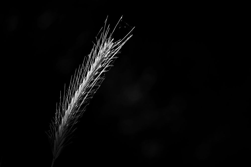 Photograph by Marina Mossiy