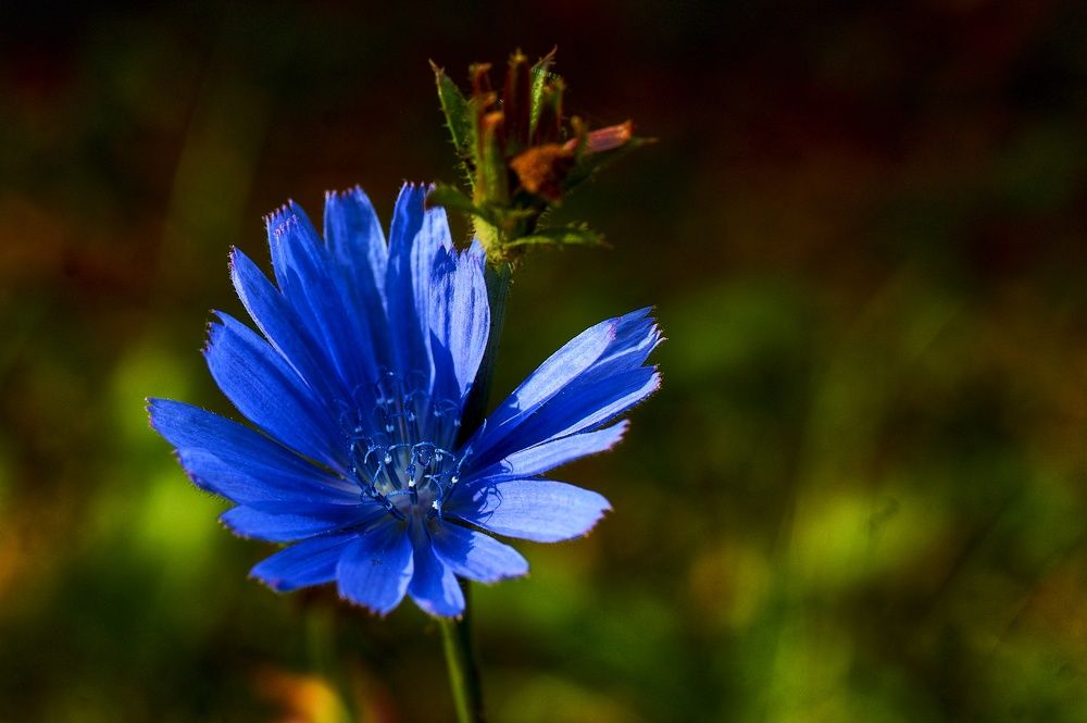 Photograph by Marina Mossiy