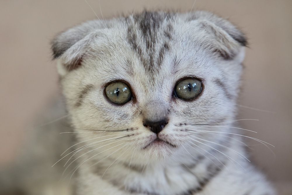 Photograph by Вербицкий Петр