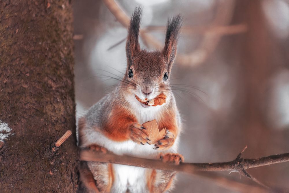Photograph by Владимир Портуаров