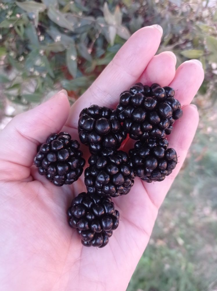 Photograph by Ирина Марченко