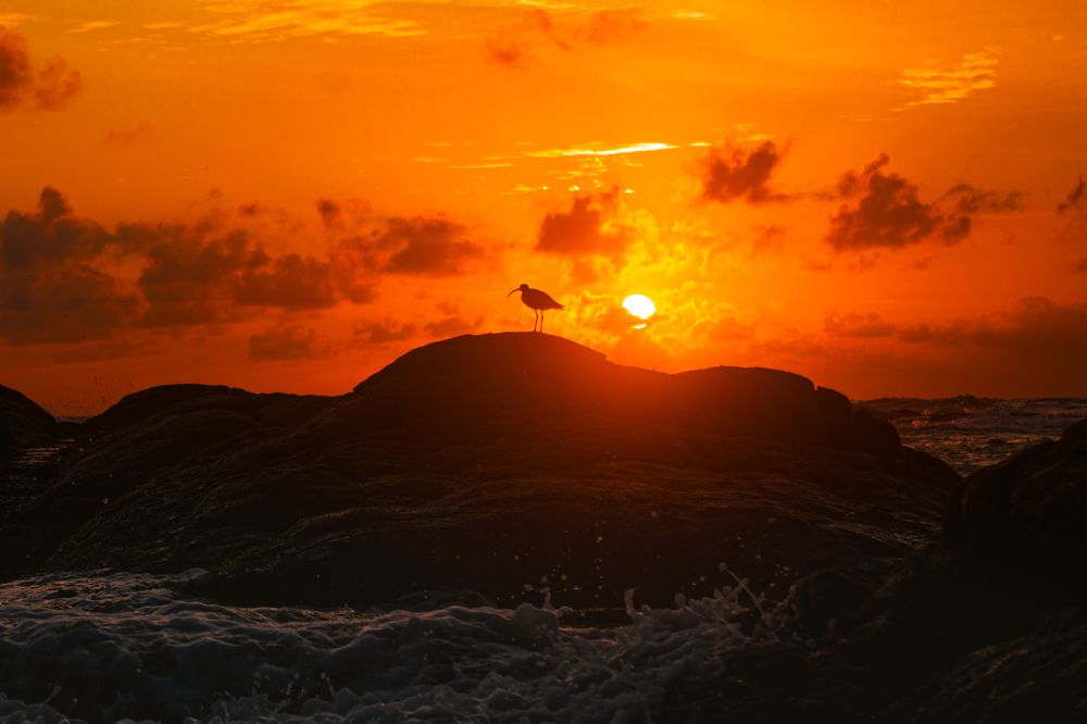 Photograph by Элен Пройс